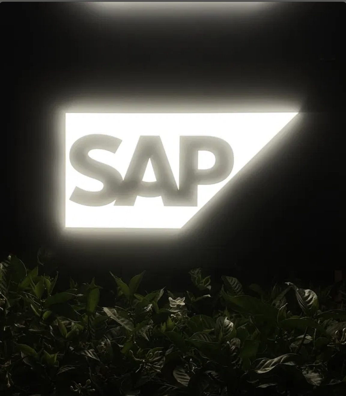 Preview of Hitanshi's work at SAP